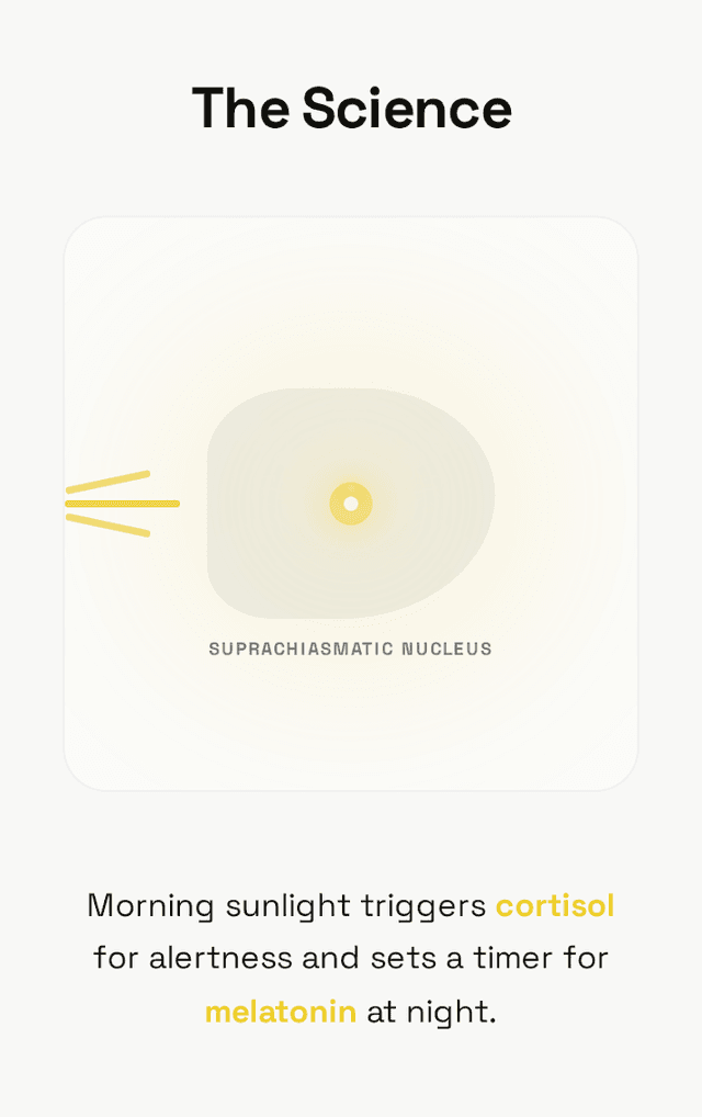 Circadian rhythm insights